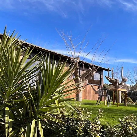Apartment Costa Brava Insolita Con Piscina Privada, Ac, Wifi, Parking, Terraza *