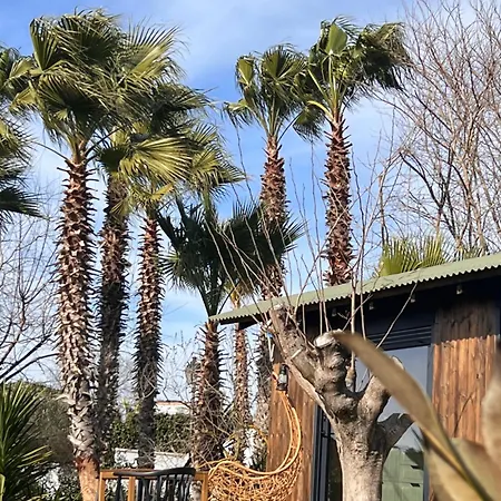 Costa Brava Insolita Con Piscina Privada, Ac, Wifi, Parking, Terraza